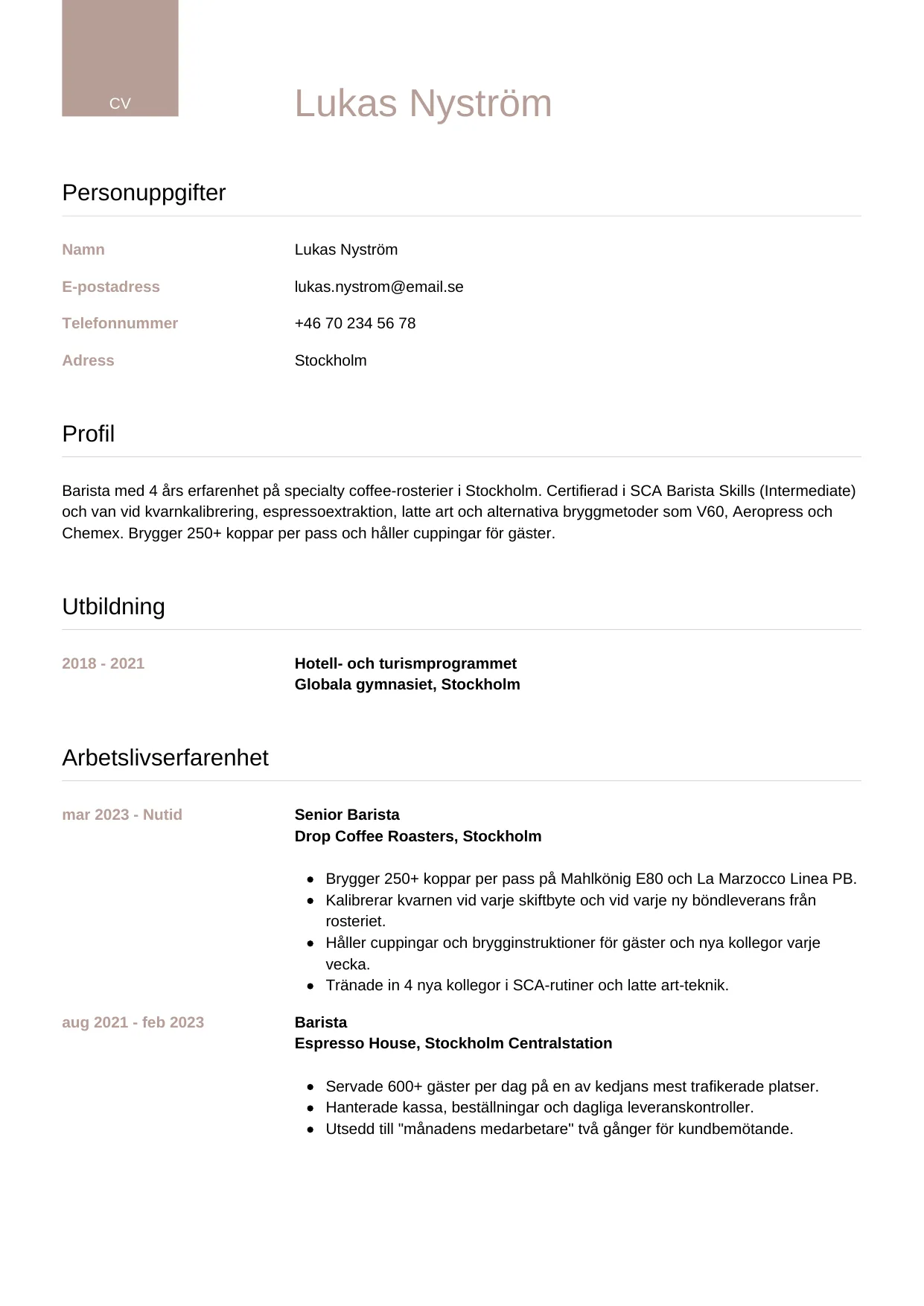 CV-mall Lyxig — gratis CV-mall för din ansökan