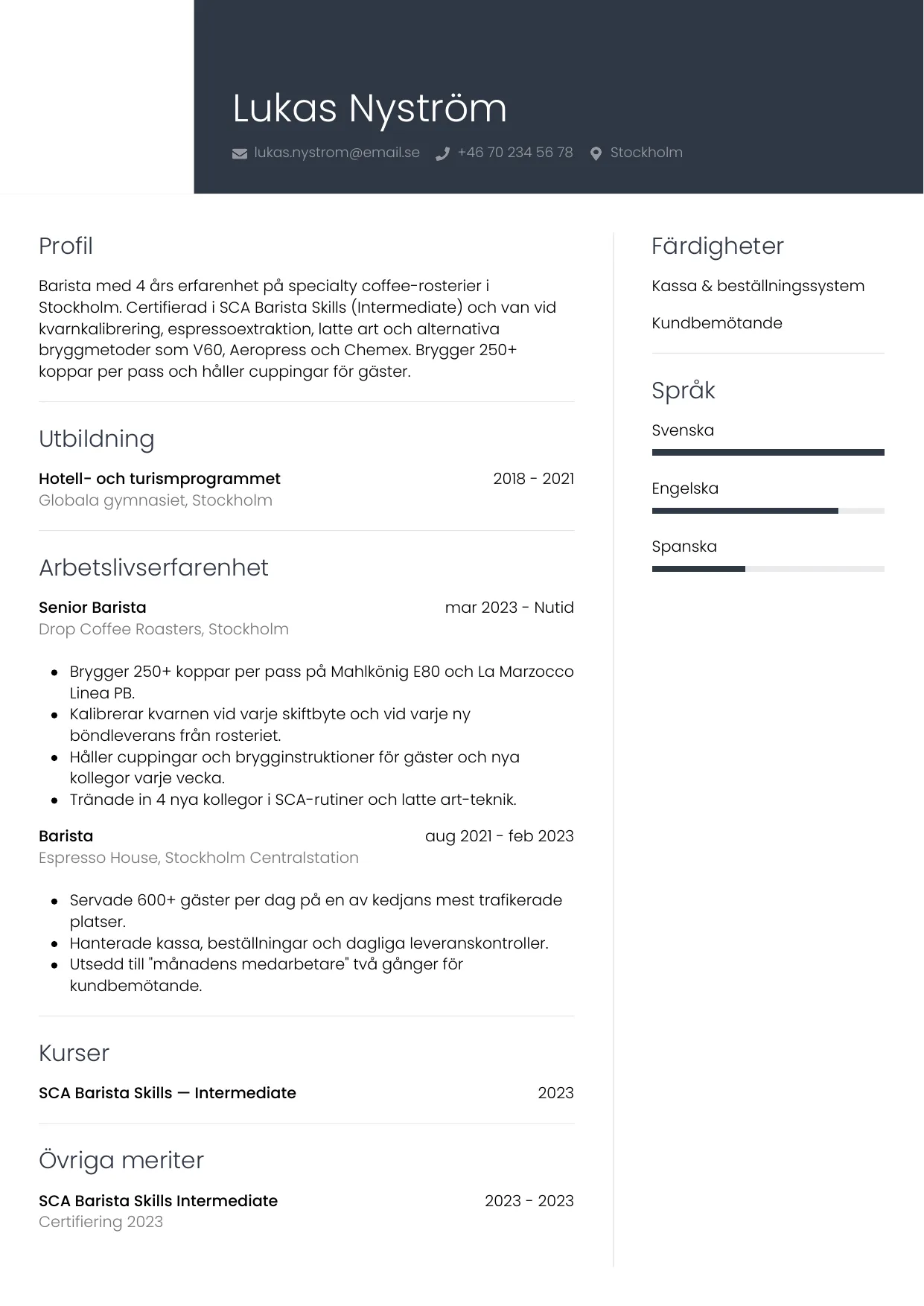 CV-mall Professionell — gratis CV-mall för din ansökan