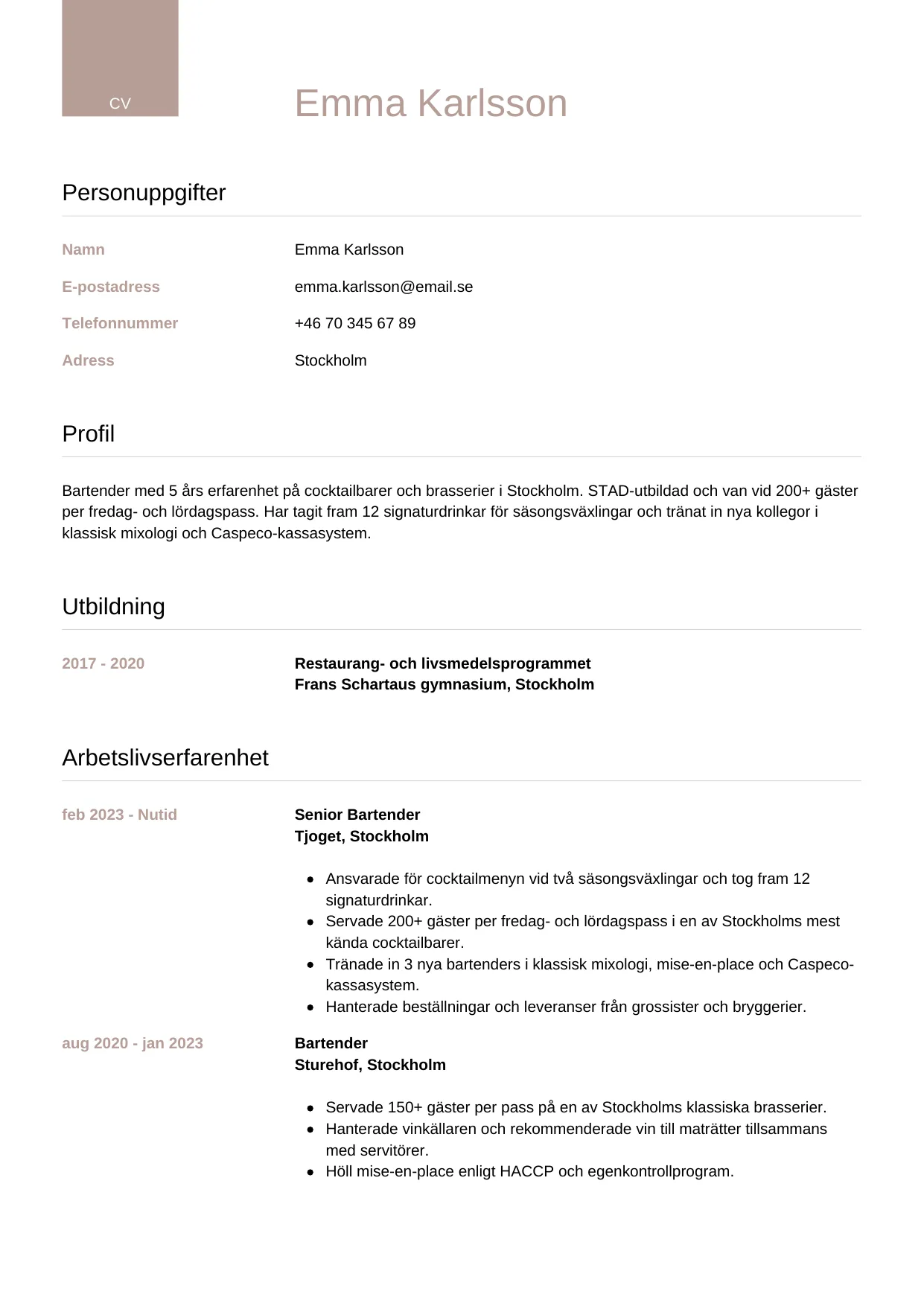 CV-mall Lyxig — gratis CV-mall för din ansökan