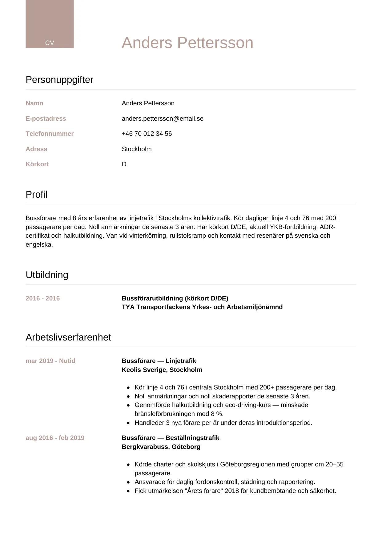 CV-mall Lyxig — gratis CV-mall för din ansökan