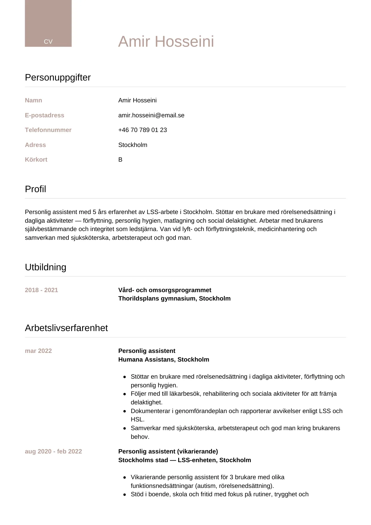 CV-mall Lyxig — gratis CV-mall för din ansökan