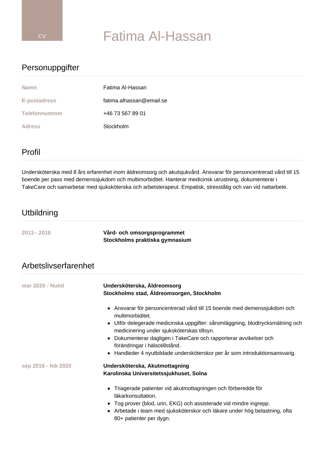 CV-mall Lyxig — gratis CV-mall för din ansökan