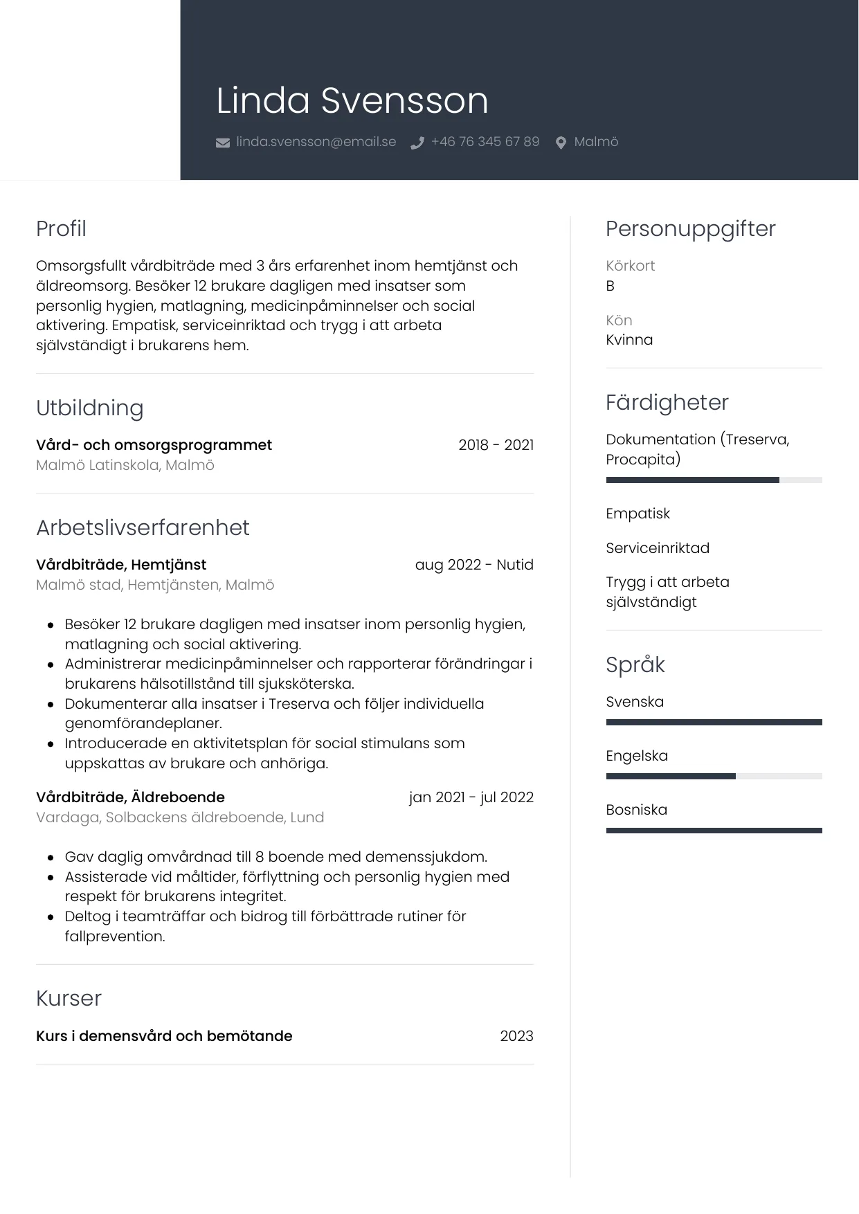 CV-mall Professionell — gratis CV-mall för din ansökan