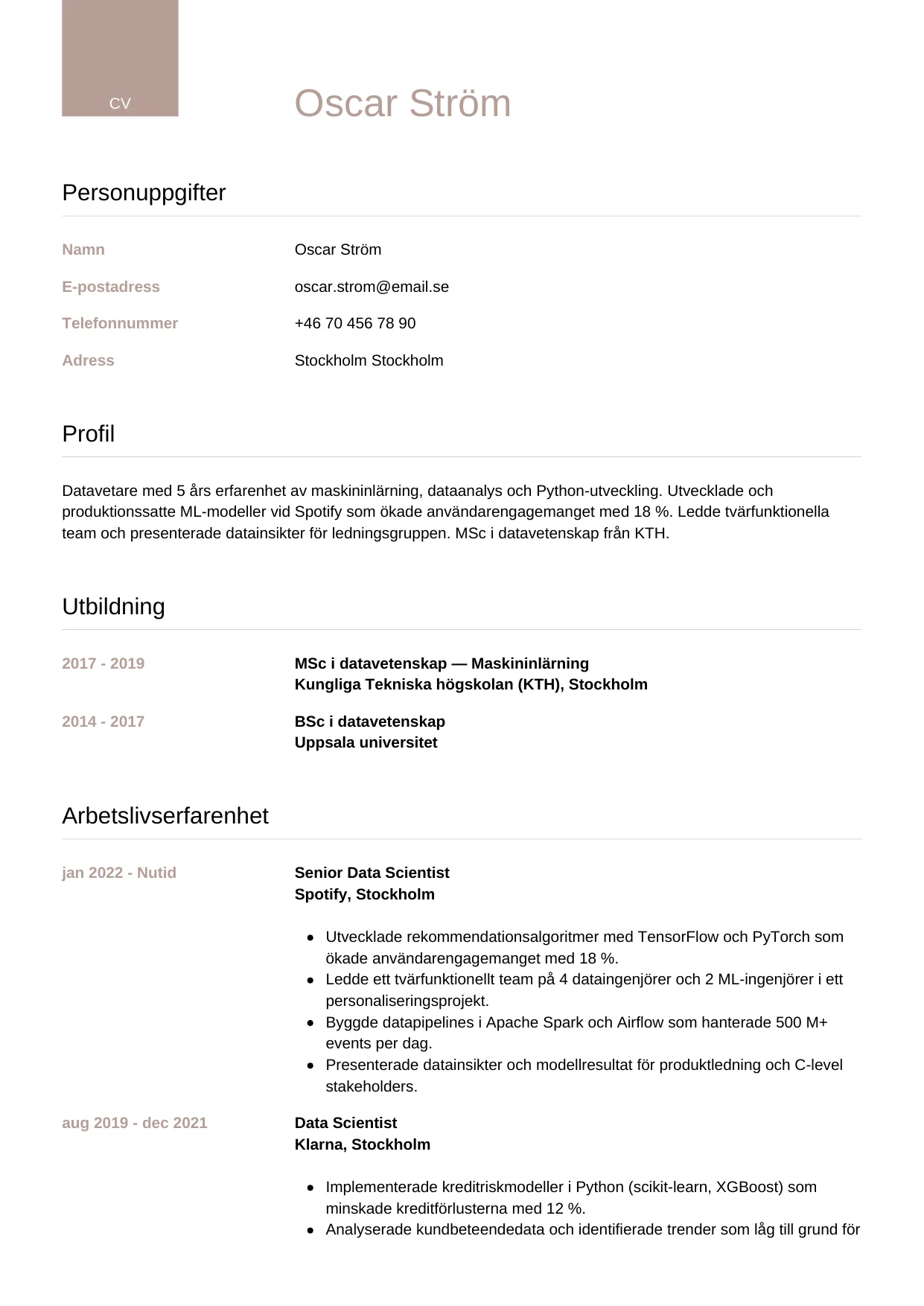 CV-mall Lyxig — gratis CV-mall för din ansökan