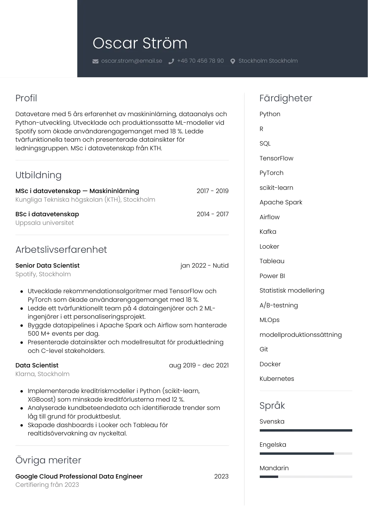 CV-mall Professionell — gratis CV-mall för din ansökan