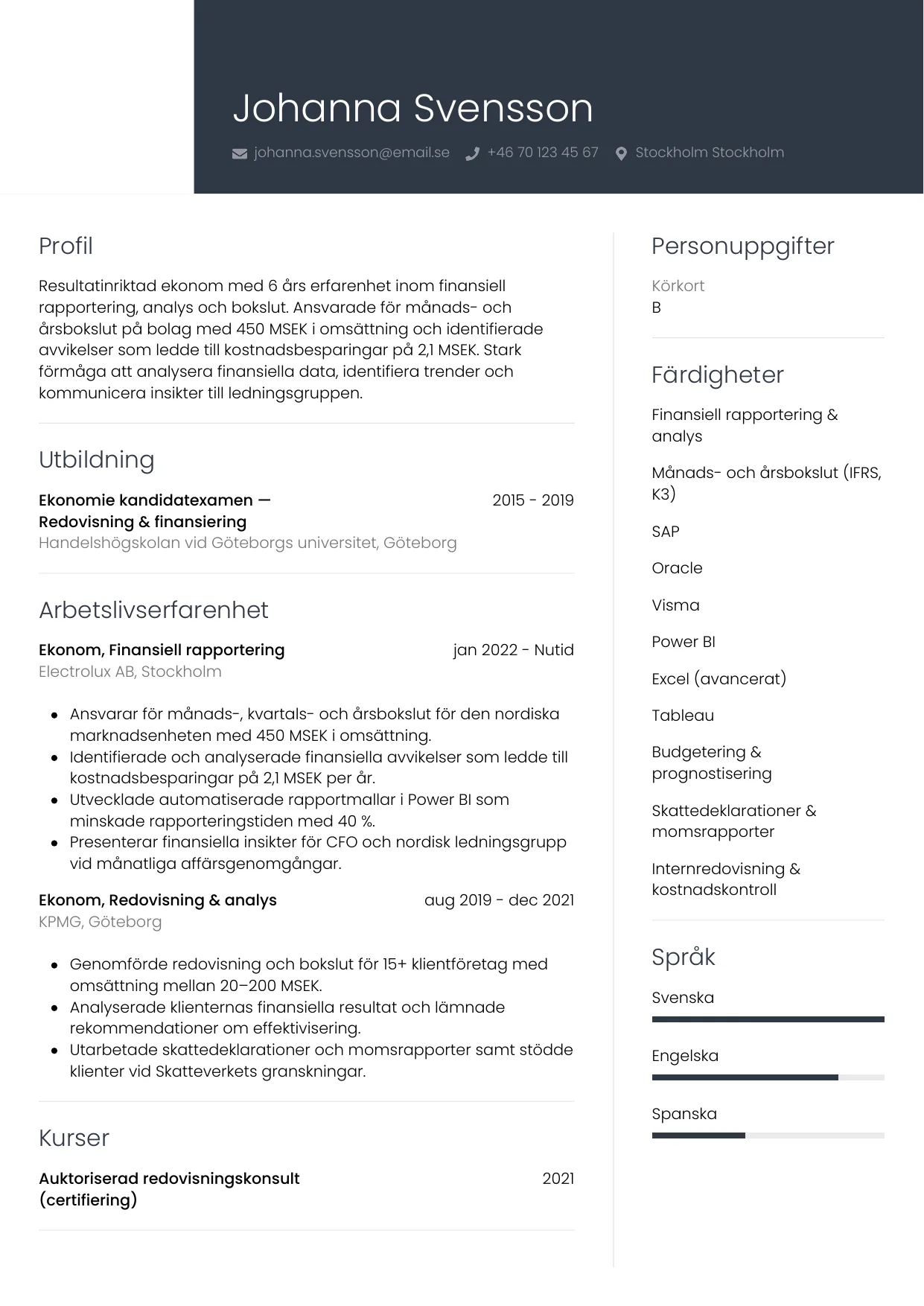 Gratis CV-mall Professionell
