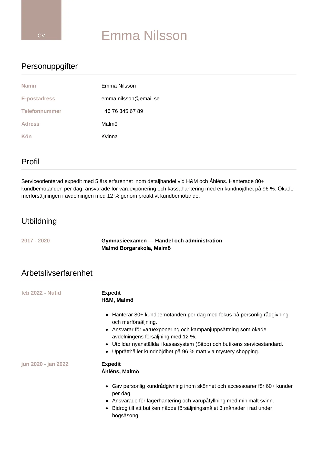 CV-mall Lyxig, gratis CV-mall för din ansökan