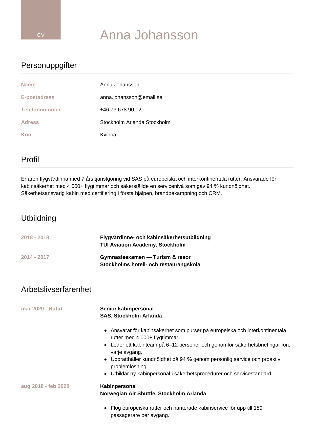 CV-mall Lyxig — gratis CV-mall för din ansökan