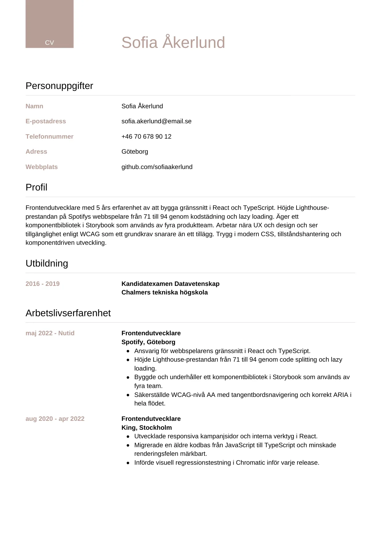 CV-mall Lyxig — gratis CV-mall för din ansökan