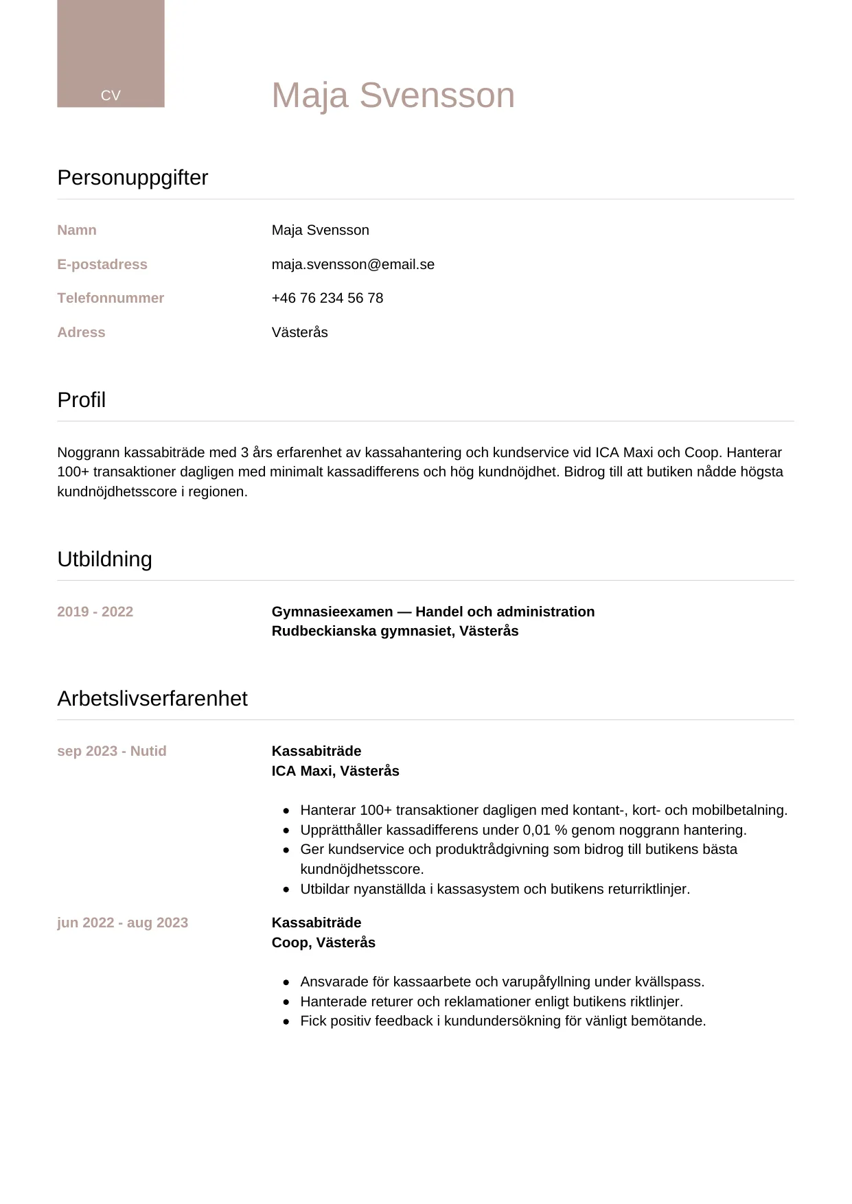 CV-mall Lyxig — gratis CV-mall för din ansökan