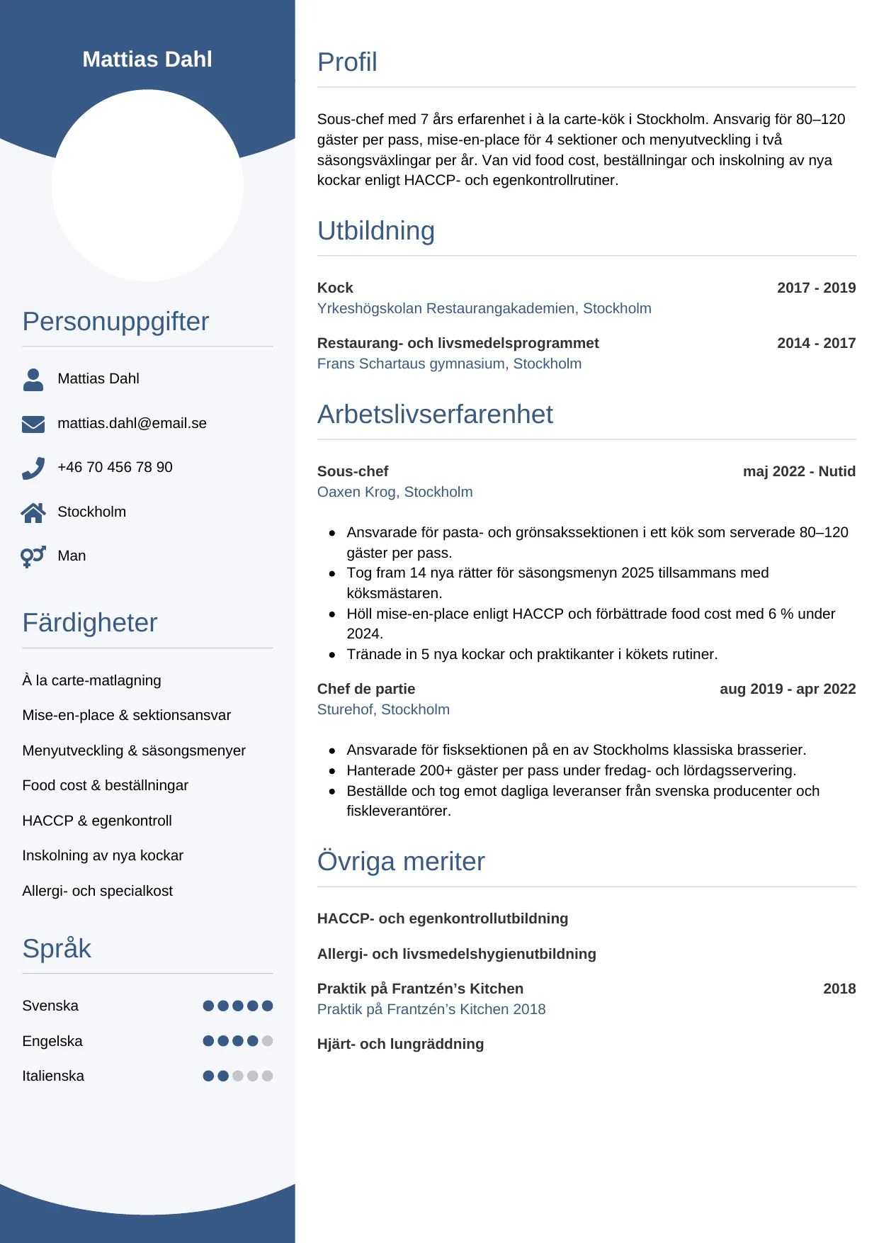 Gratis CV-mall Cirkulär