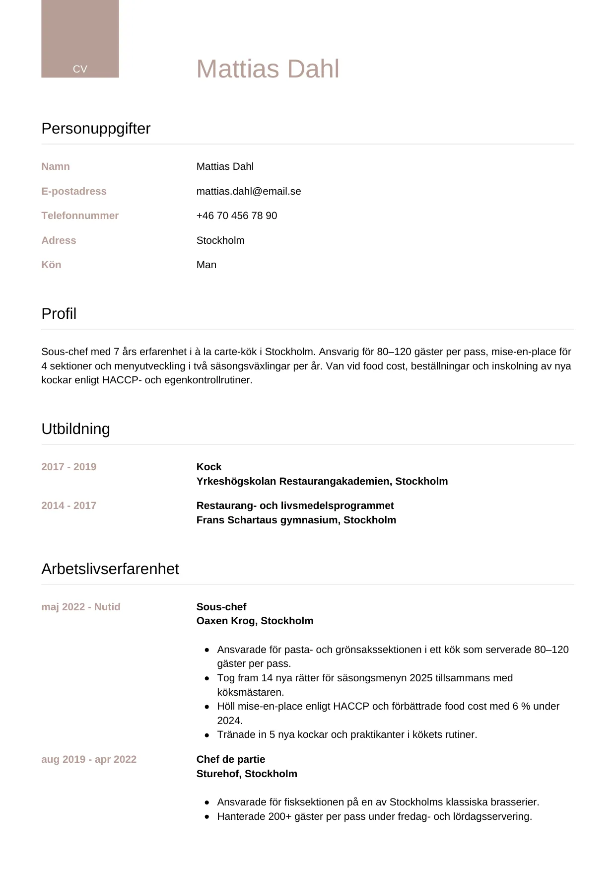 CV-mall Lyxig — gratis CV-mall för din ansökan