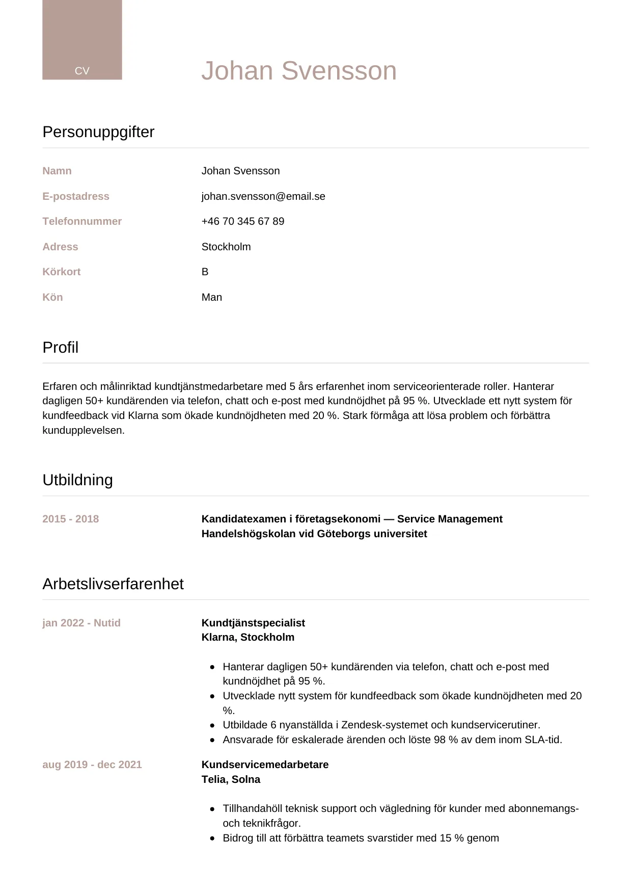 CV-mall Lyxig — gratis CV-mall för din ansökan