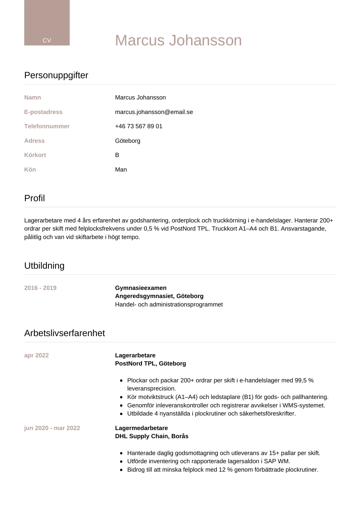 CV-mall Lyxig — gratis CV-mall för din ansökan