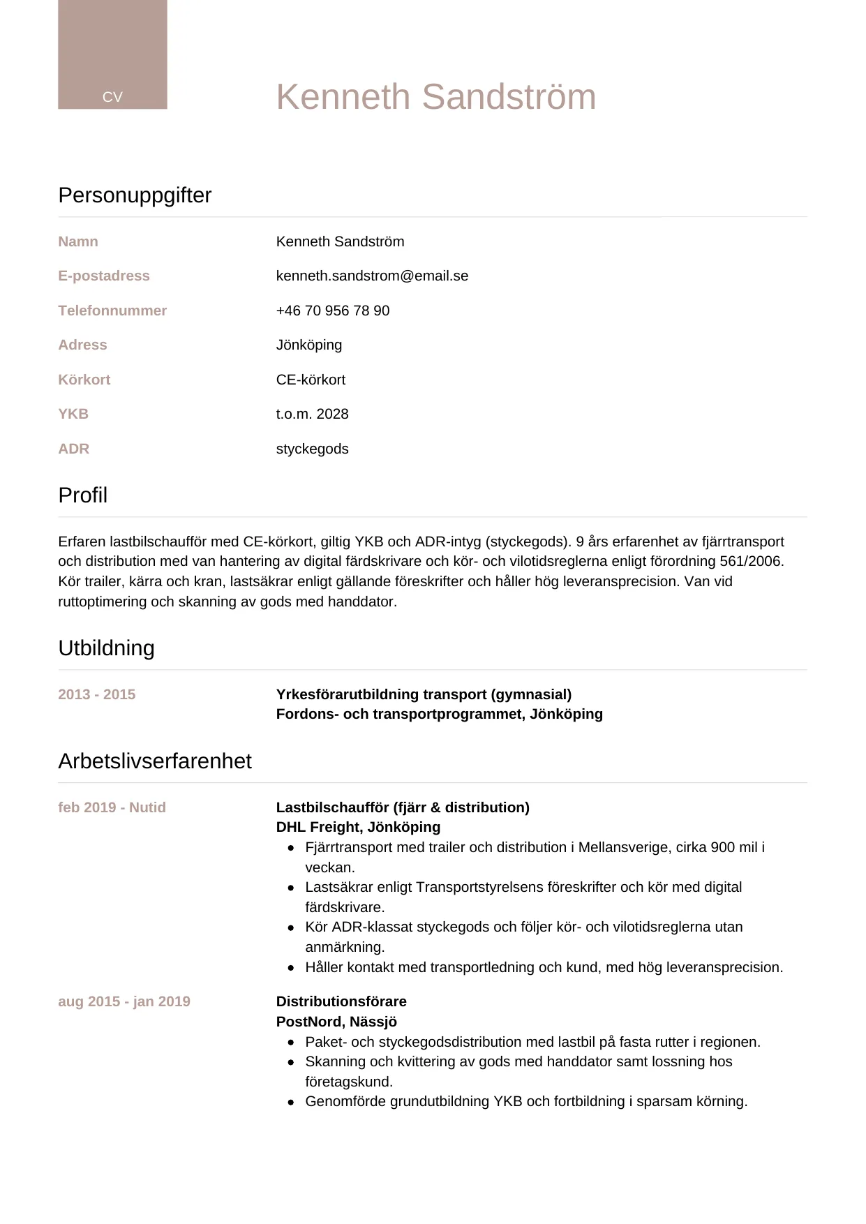 CV-mall Lyxig — gratis CV-mall för din ansökan
