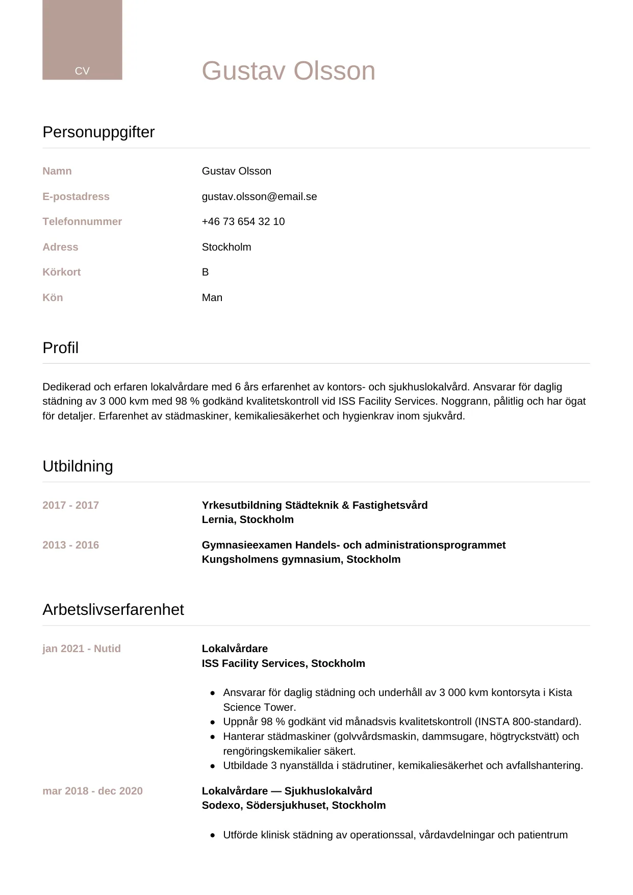 CV-mall Lyxig — gratis CV-mall för din ansökan