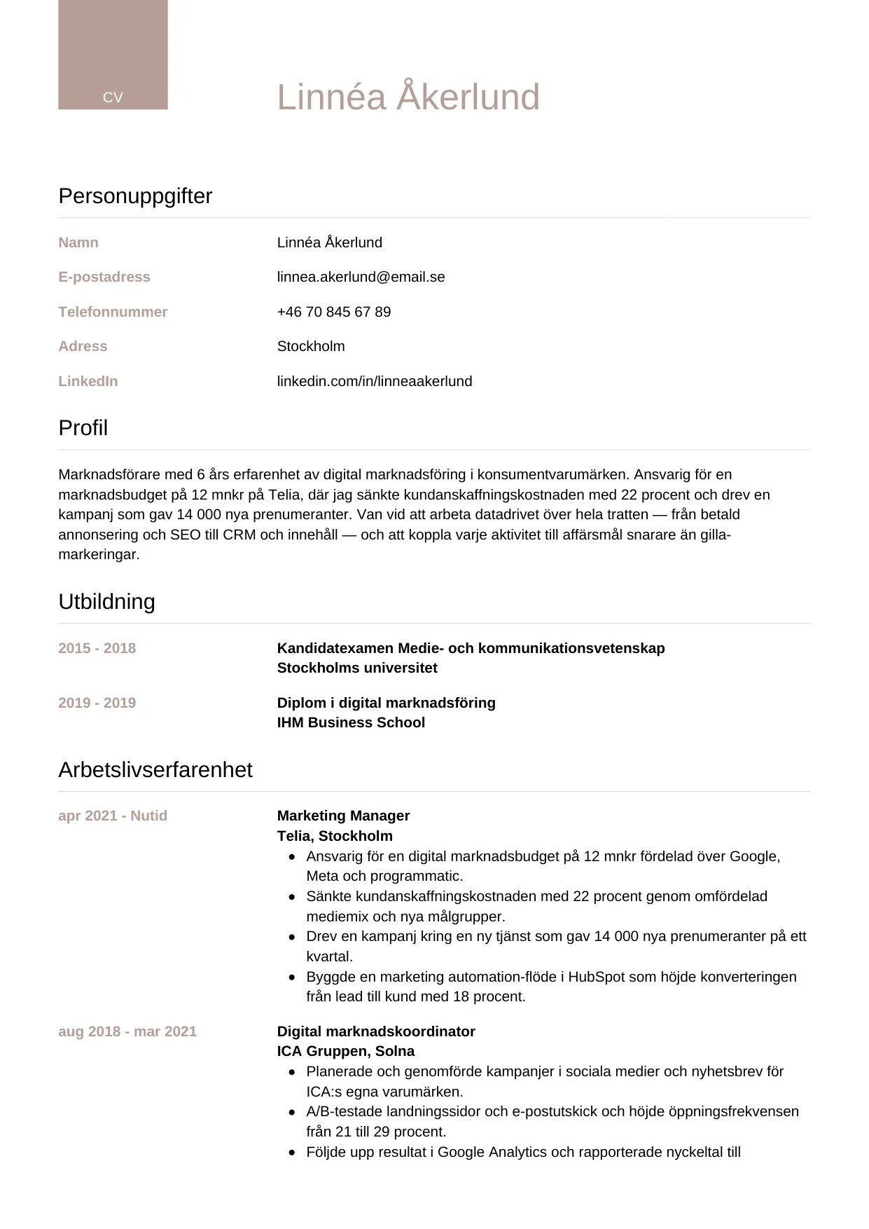 CV-mall Lyxig — gratis CV-mall för din ansökan