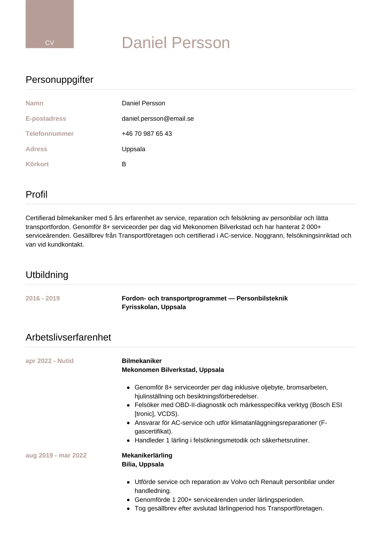 CV-mall Lyxig — gratis CV-mall för din ansökan