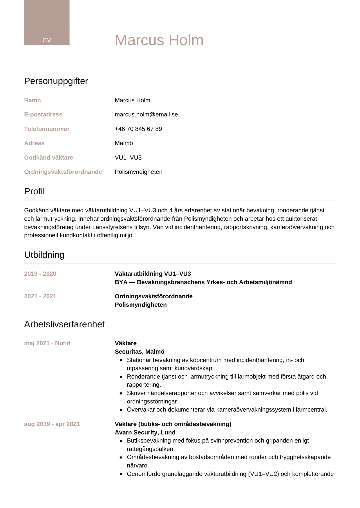 CV-mall Lyxig — gratis CV-mall för din ansökan
