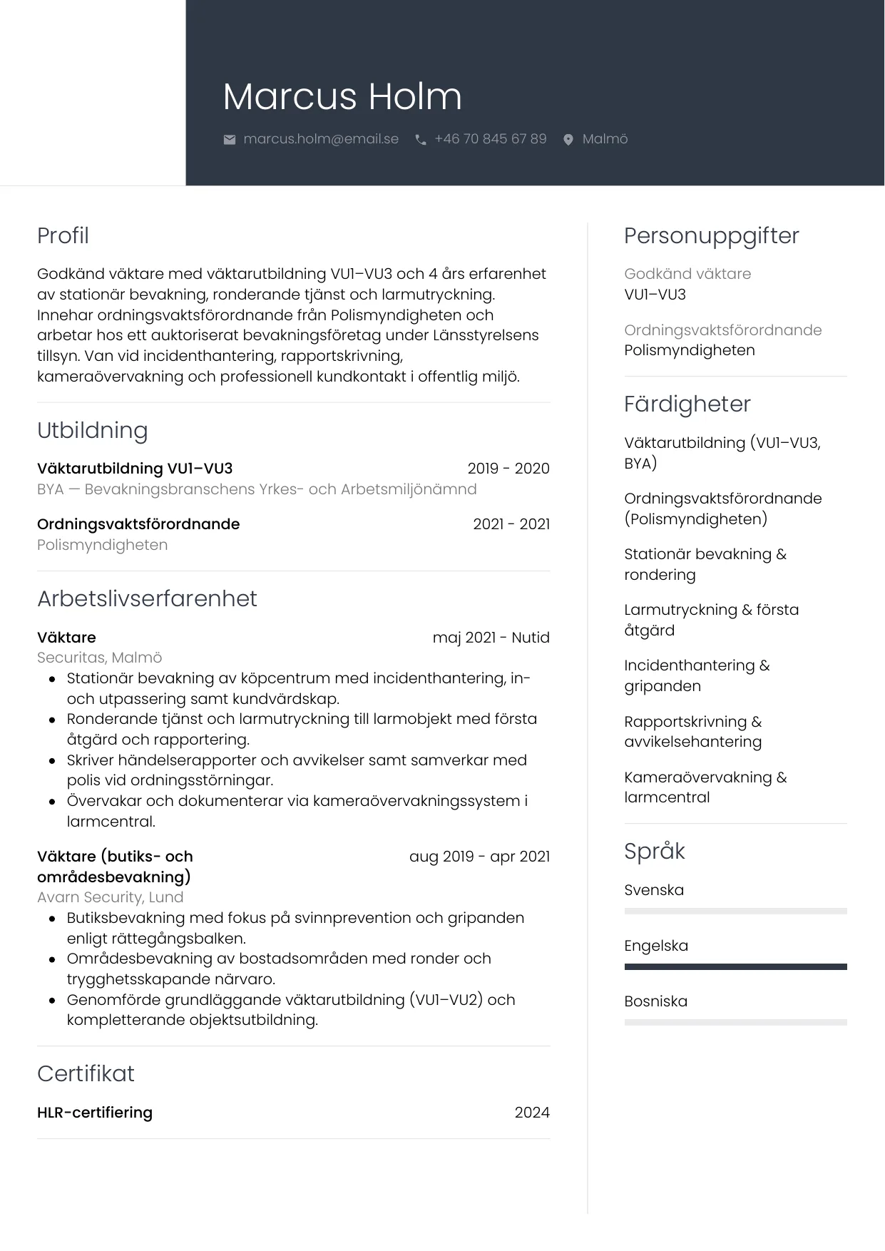 CV-mall Professionell — gratis CV-mall för din ansökan