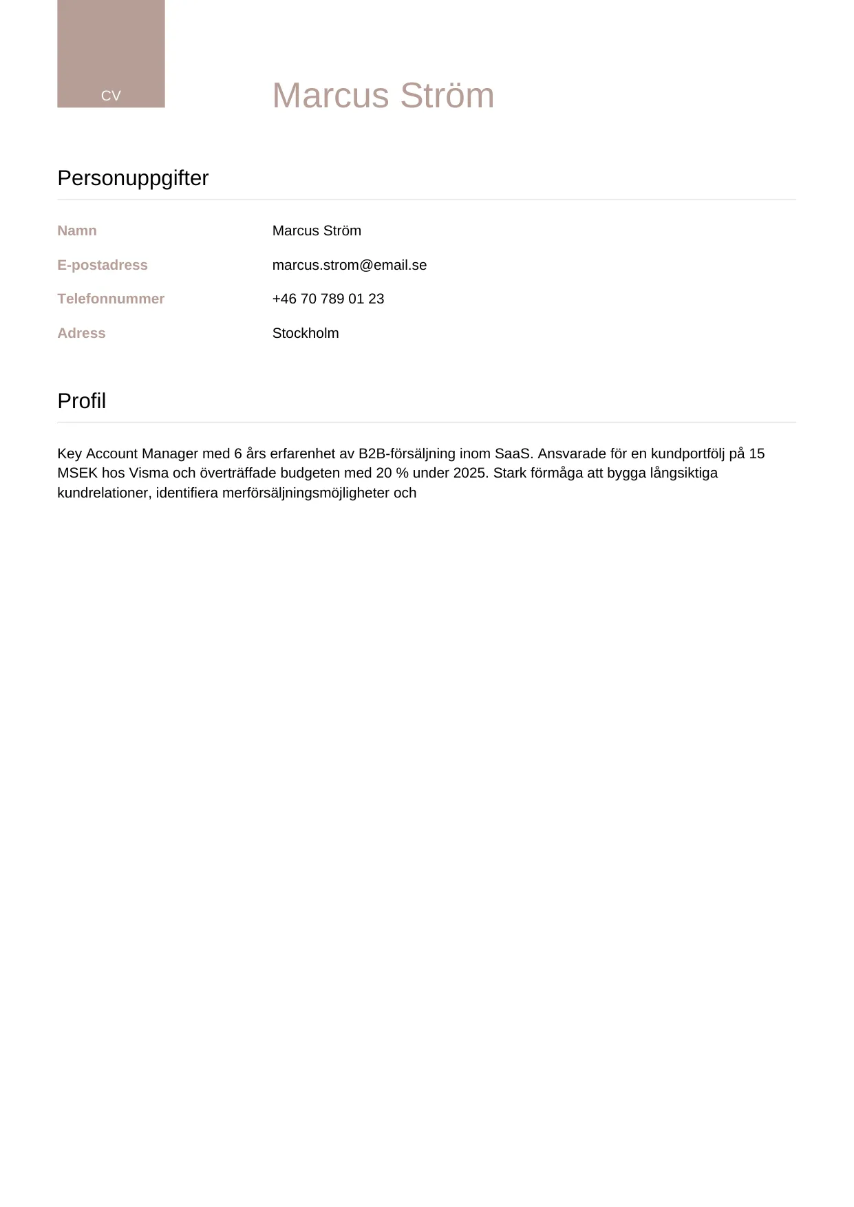 CV-mall Lyxig — gratis CV-mall för din ansökan