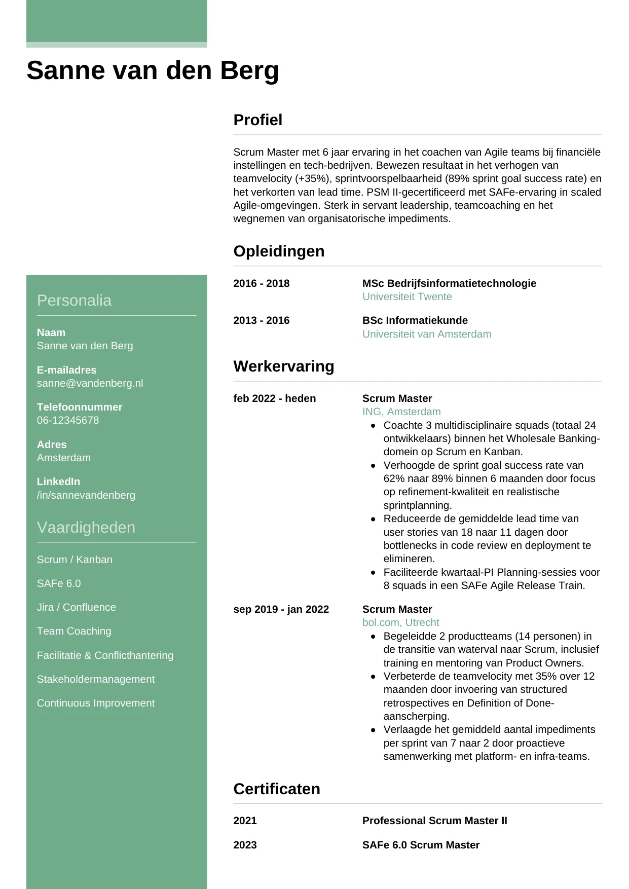 CV-exempel Scrum Master