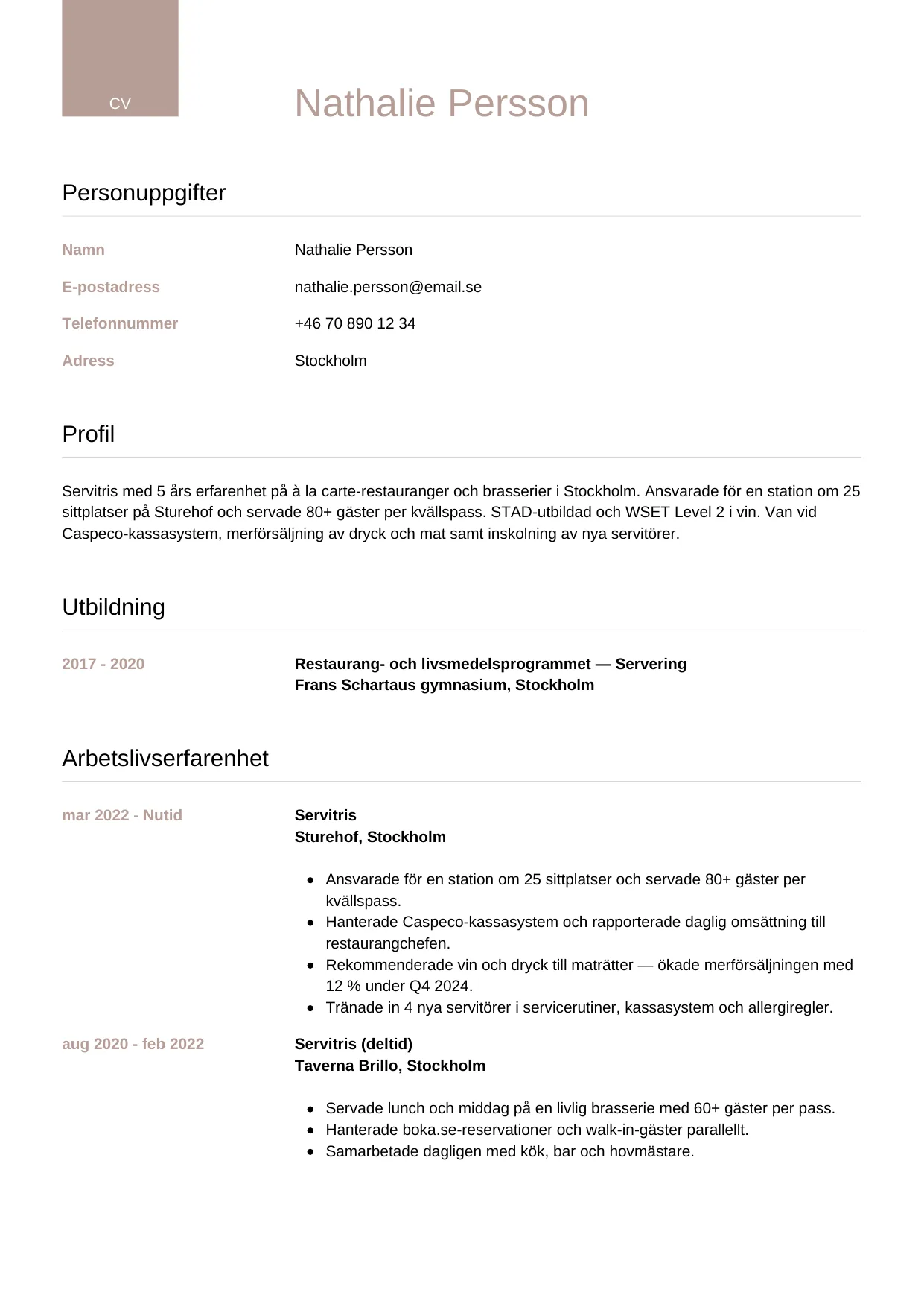 CV-mall Lyxig — gratis CV-mall för din ansökan