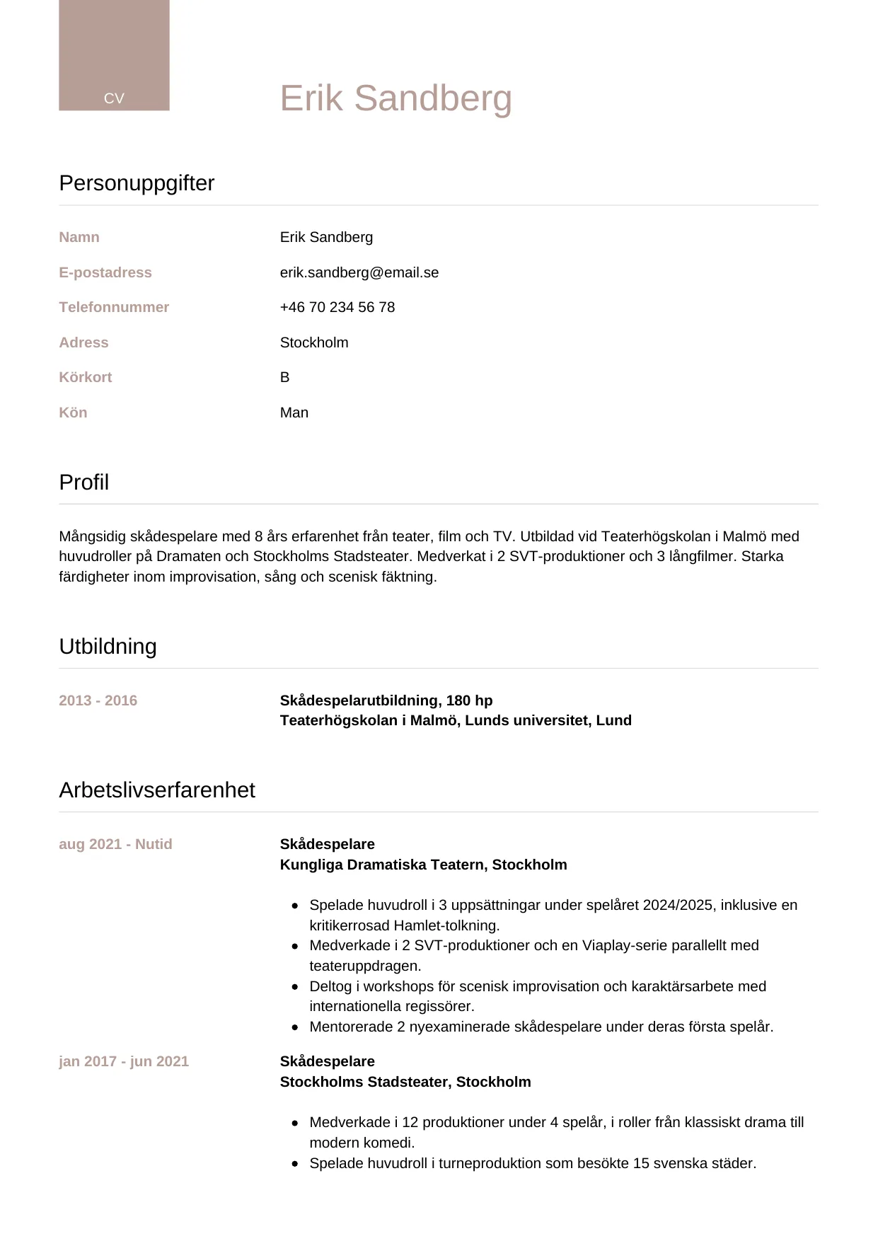 CV-mall Lyxig — gratis CV-mall för din ansökan