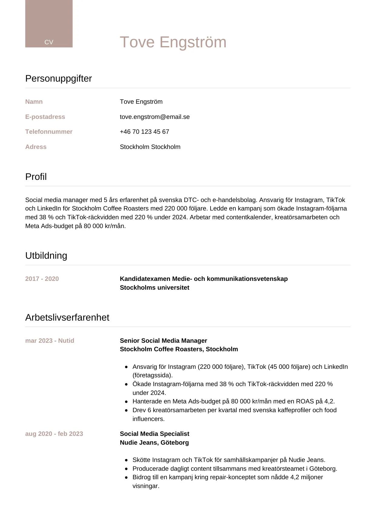 CV-mall Lyxig — gratis CV-mall för din ansökan