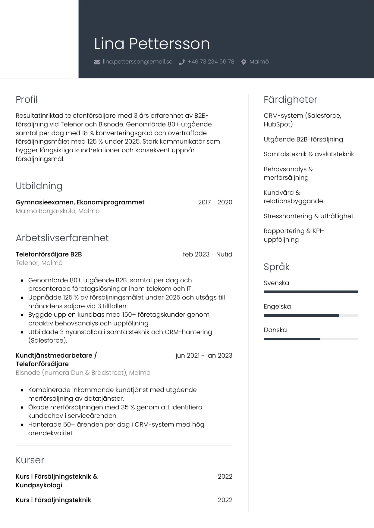 CV-mall Professionell — gratis CV-mall för din ansökan