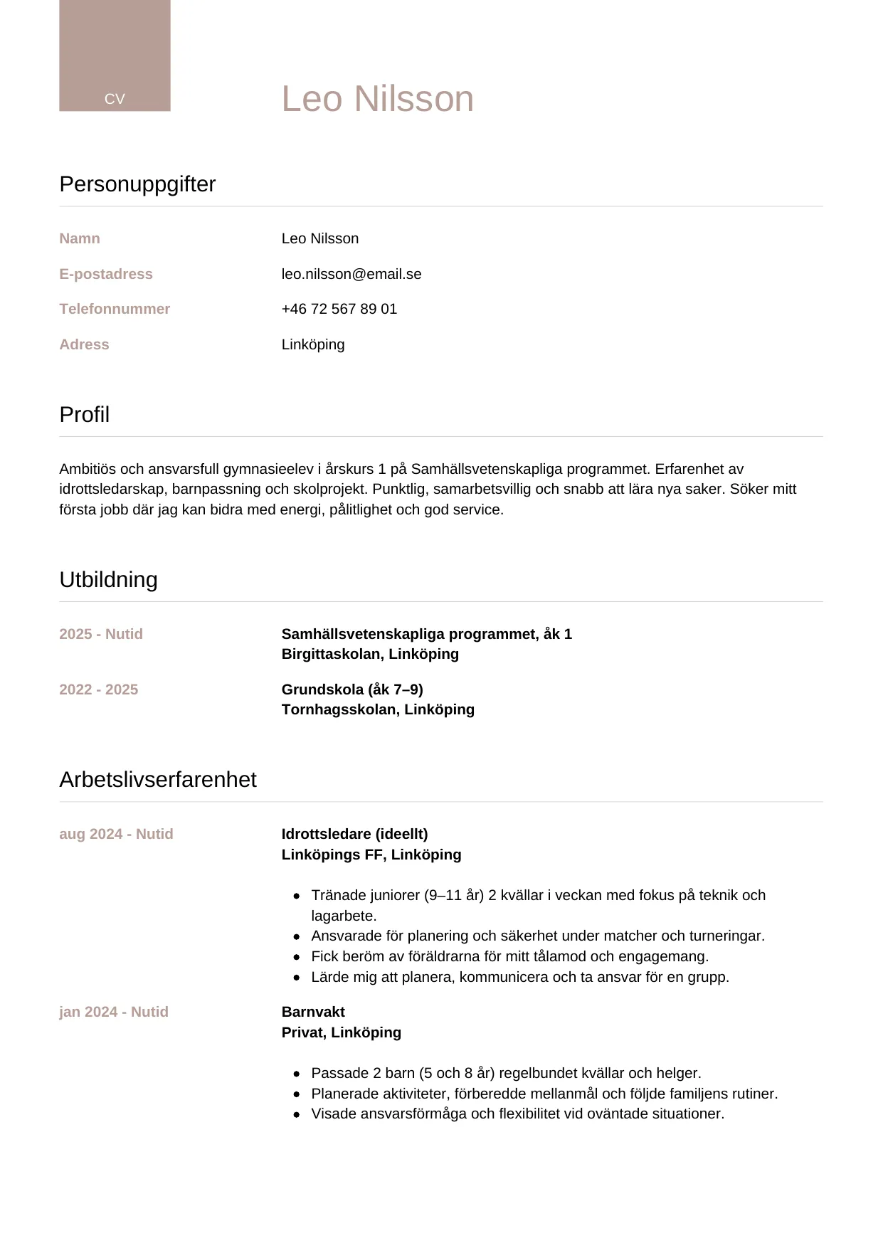 CV-mall Lyxig — gratis CV-mall för din ansökan