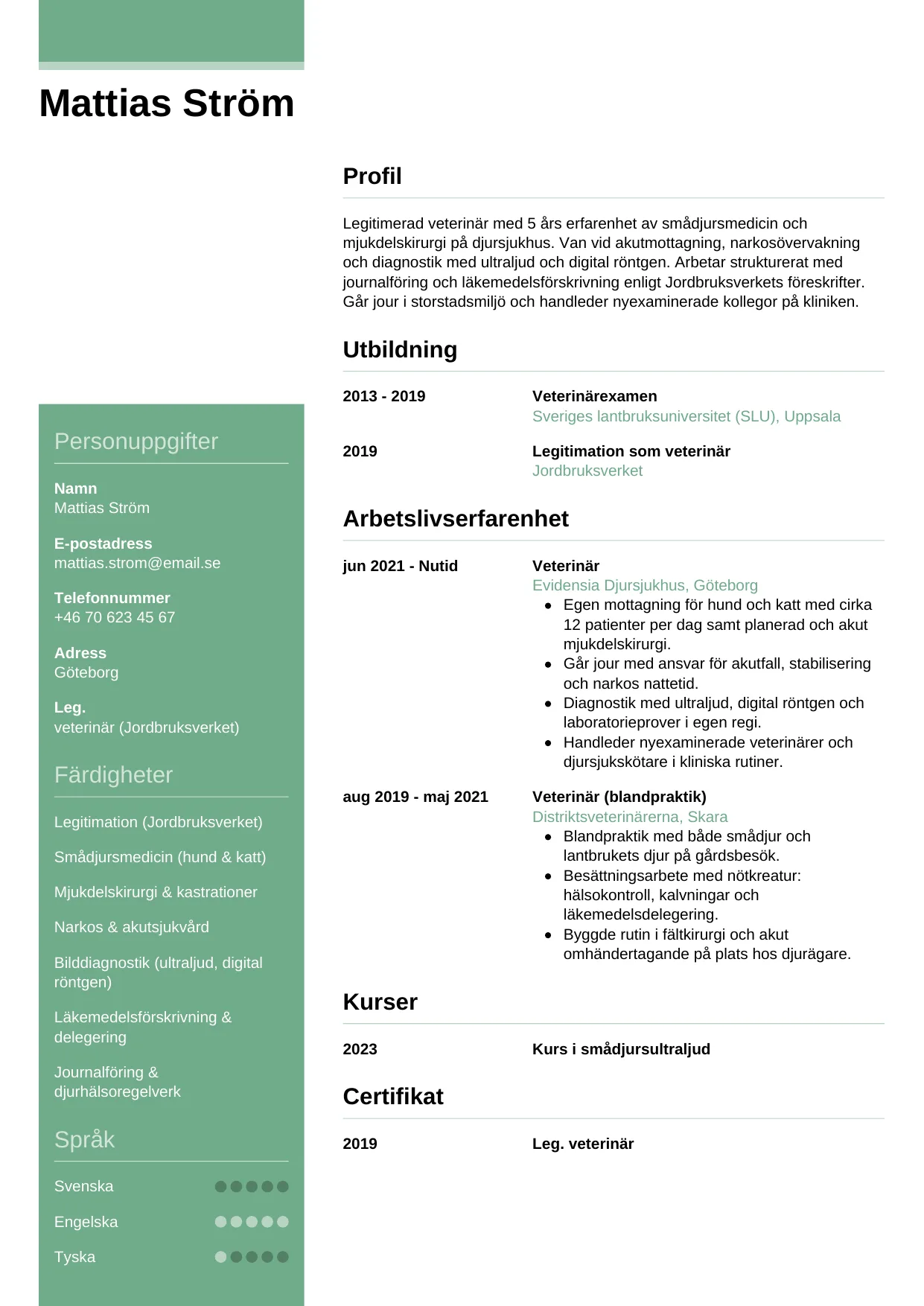 CV-mall Casual — gratis CV-mall för din ansökan