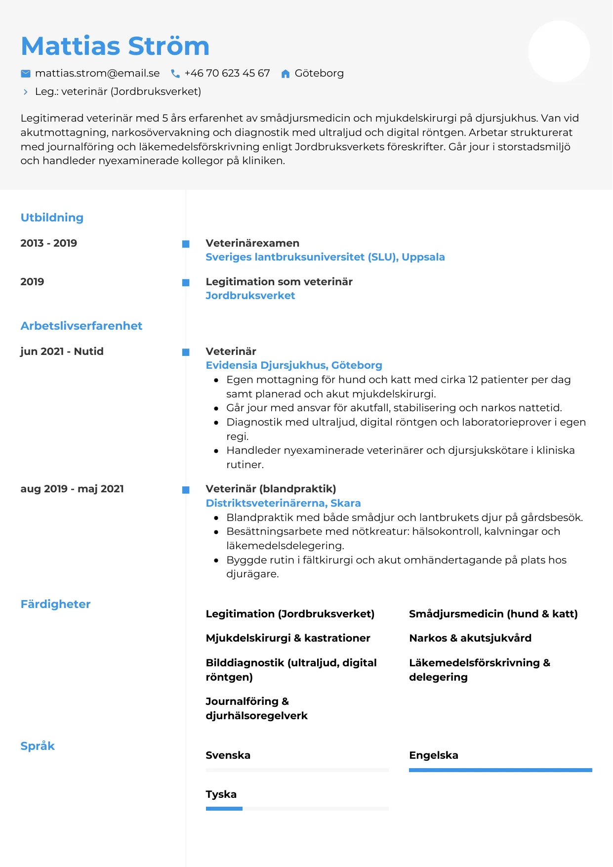 CV-mall Chrono — gratis CV-mall för din ansökan