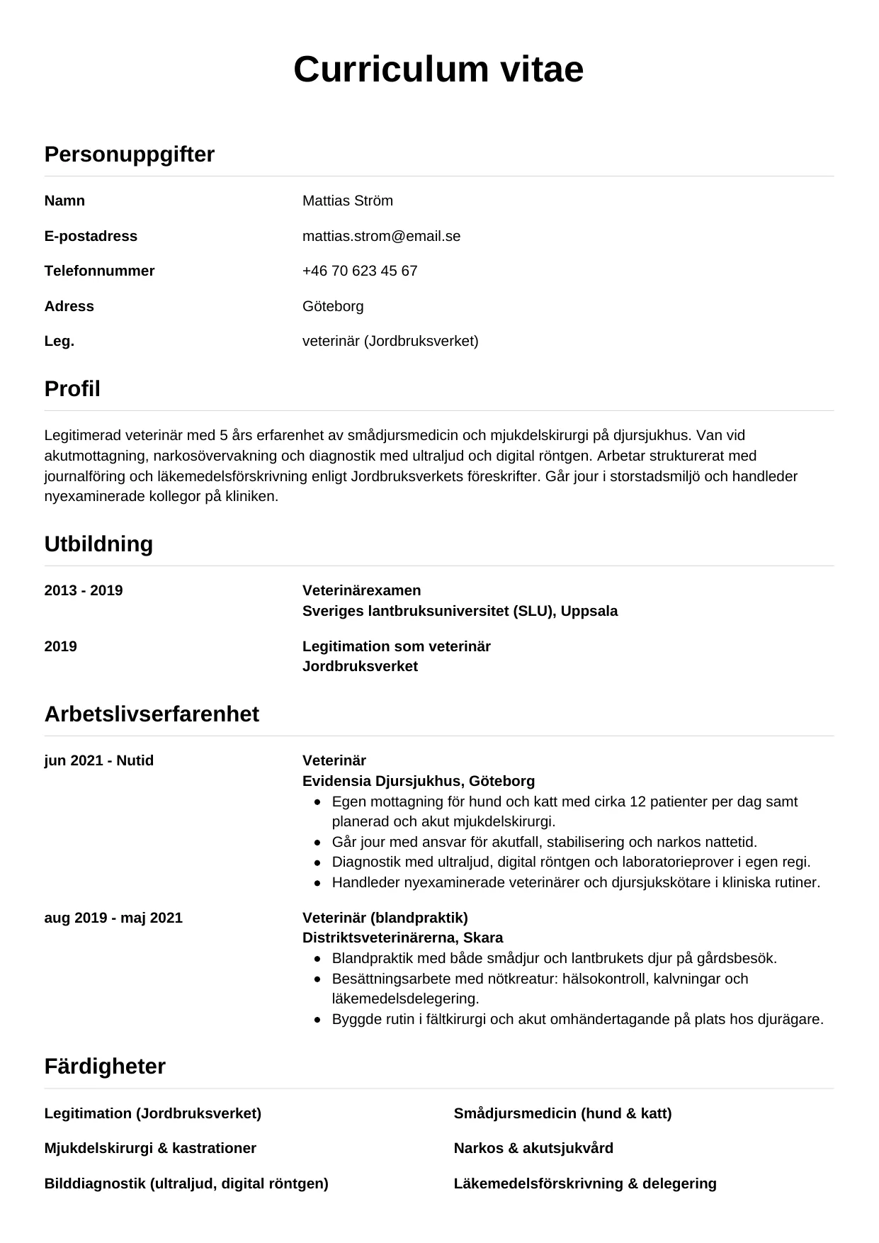 CV-mall Enkel — gratis CV-mall för din ansökan
