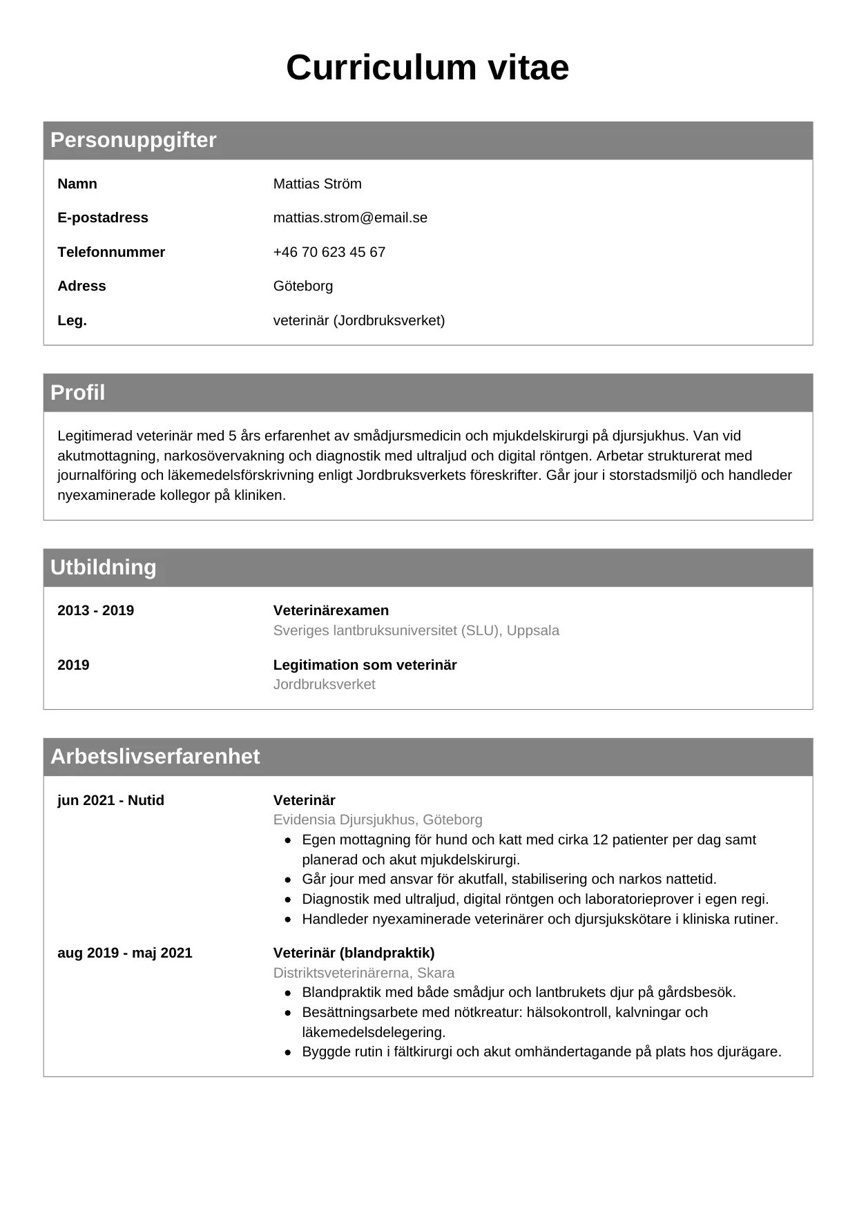 CV-mall Klassisk — gratis CV-mall för din ansökan