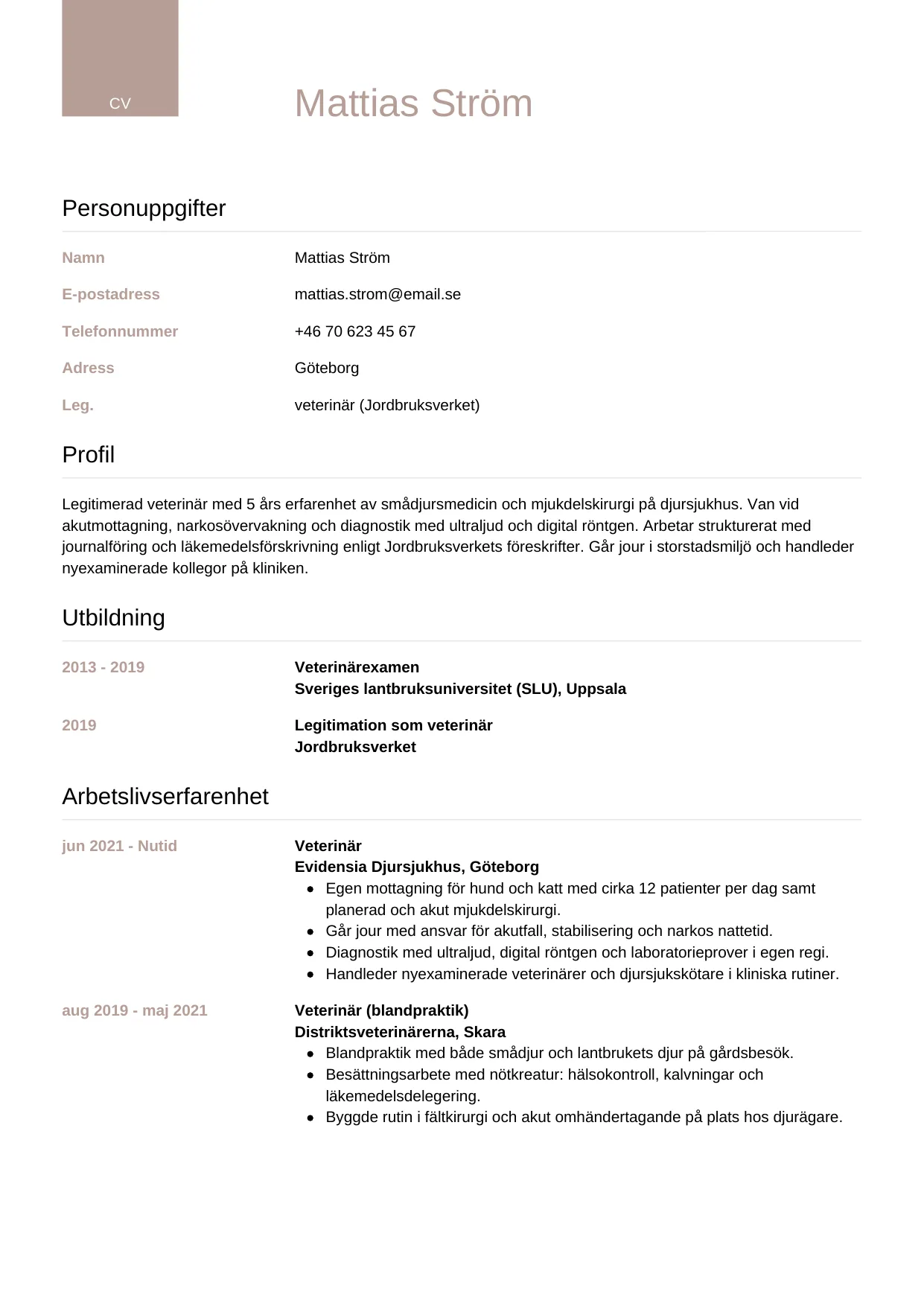 CV-mall Lyxig — gratis CV-mall för din ansökan