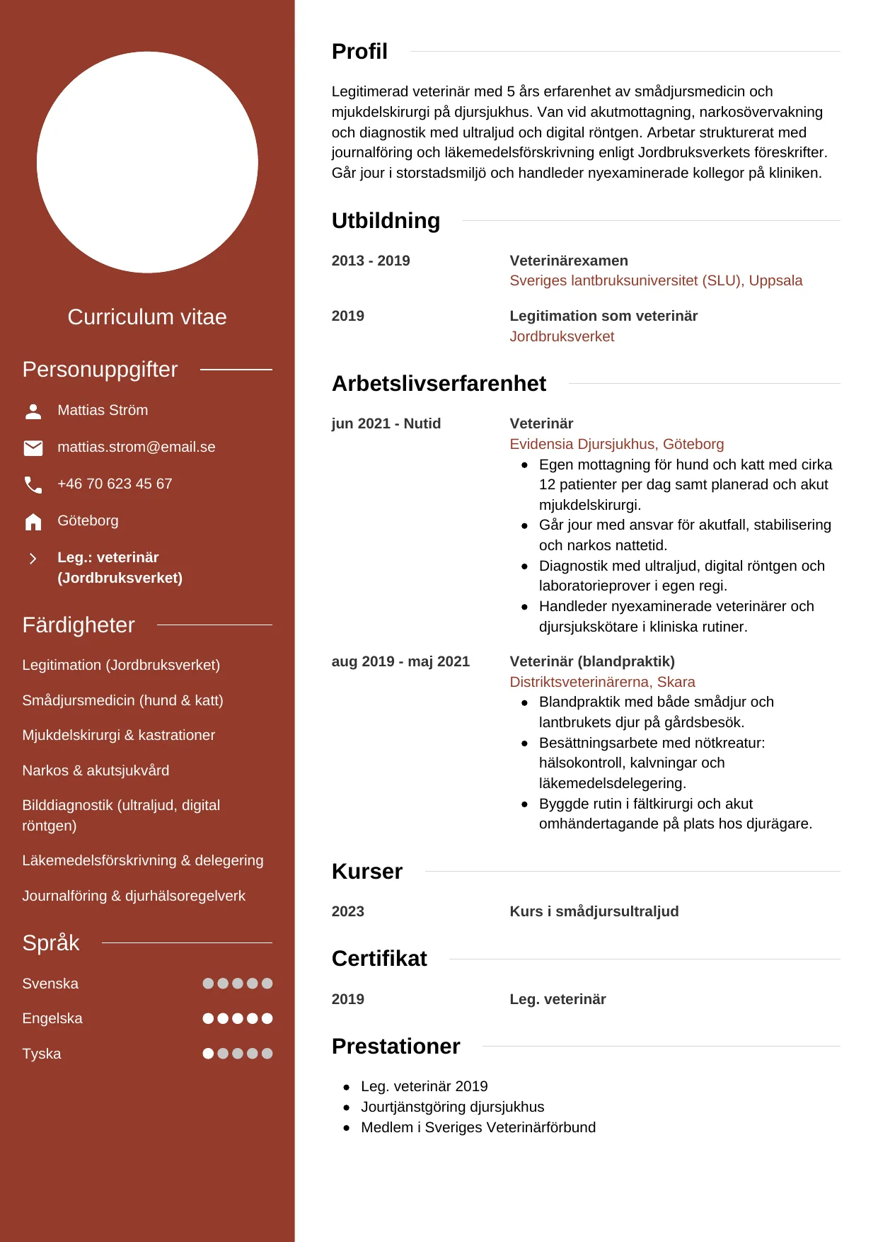 CV-mall Modern — gratis CV-mall för din ansökan