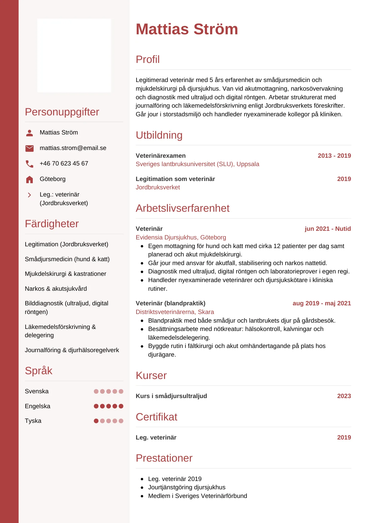 CV-mall Vertikal — gratis CV-mall för din ansökan