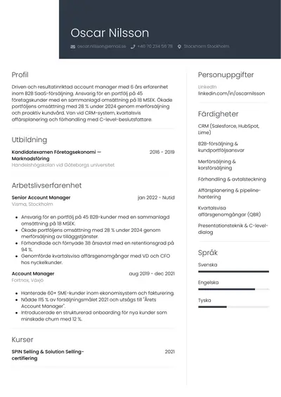CV-exempel Account Manager