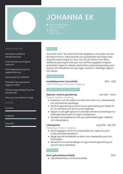 CV-exempel Journalist