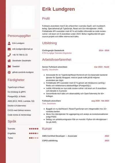 CV-exempel Programmerare