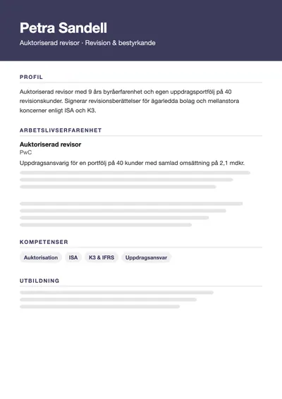 CV-exempel Revisor