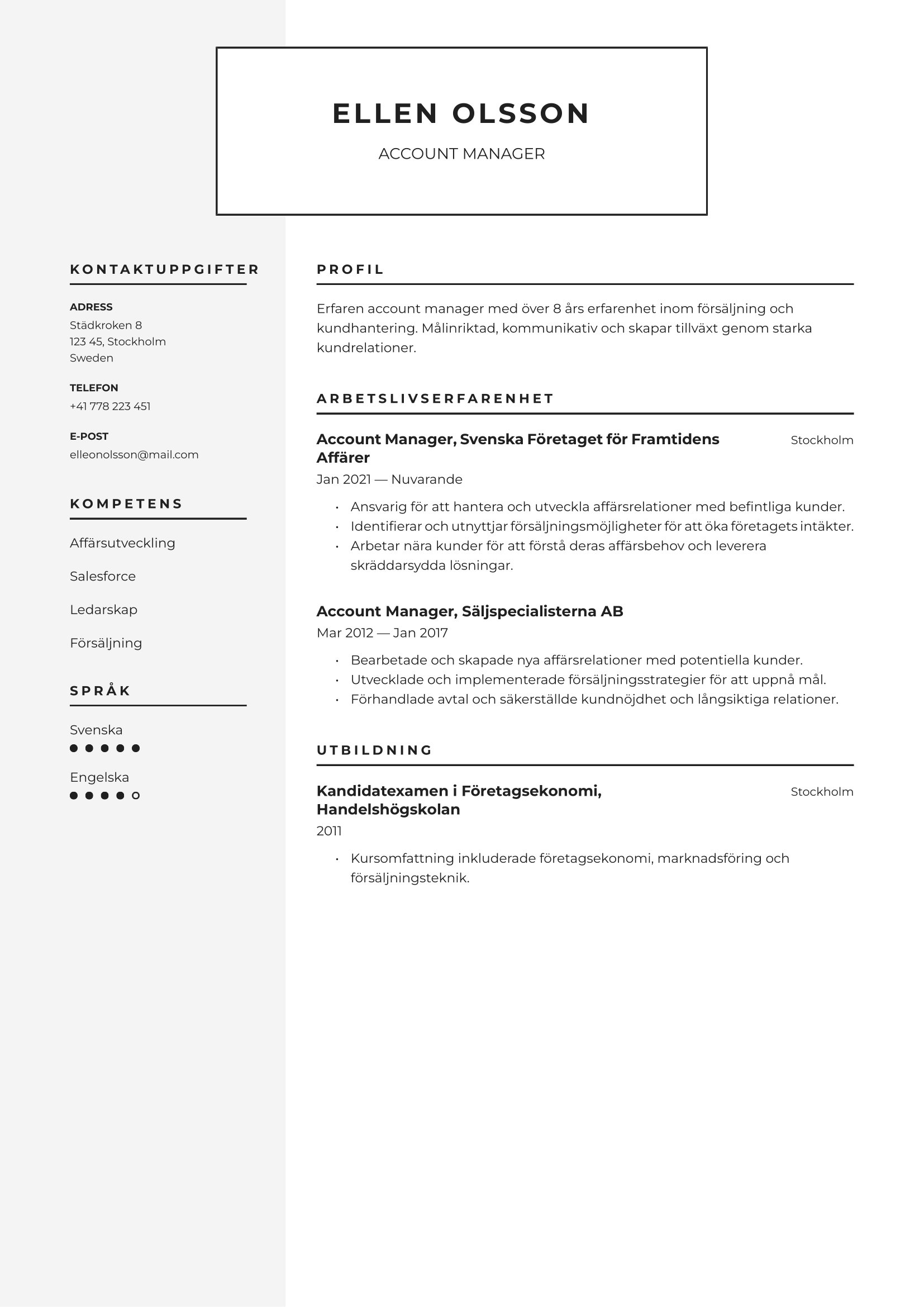 CV Account manager 5